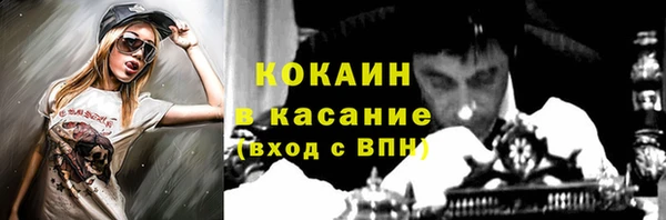 гашик Алзамай