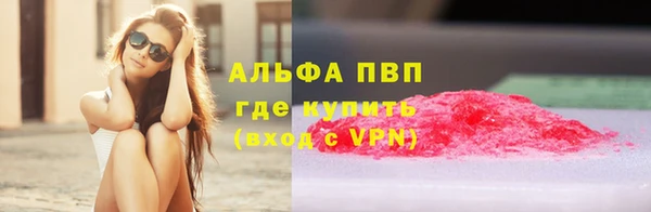 стафф Алексин