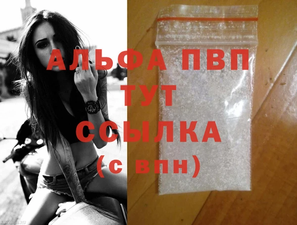 стафф Алексин