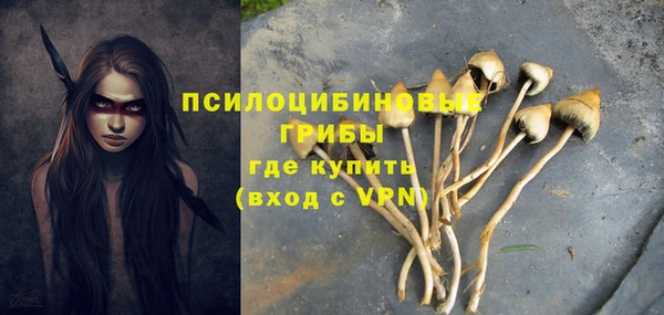 стафф Алексин
